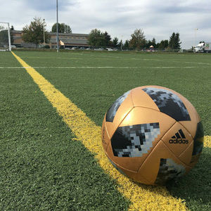 Meet your Posher, Will